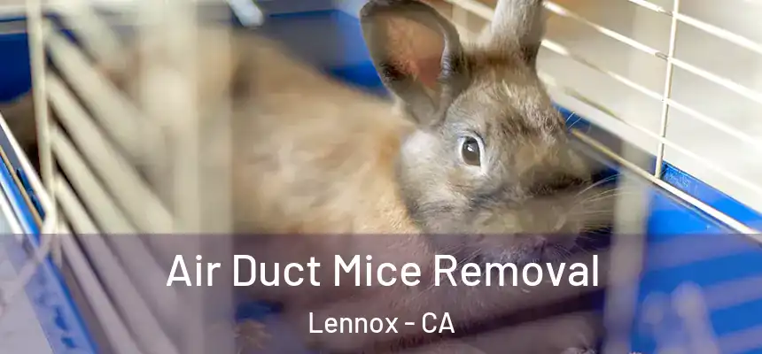  Air Duct Mice Removal Lennox - CA