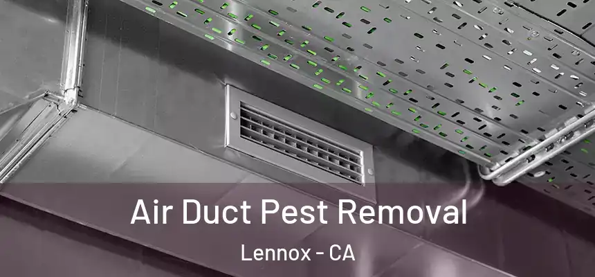 Air Duct Pest Removal Lennox - CA
