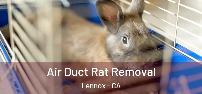 Air Duct Rat Removal Lennox - CA