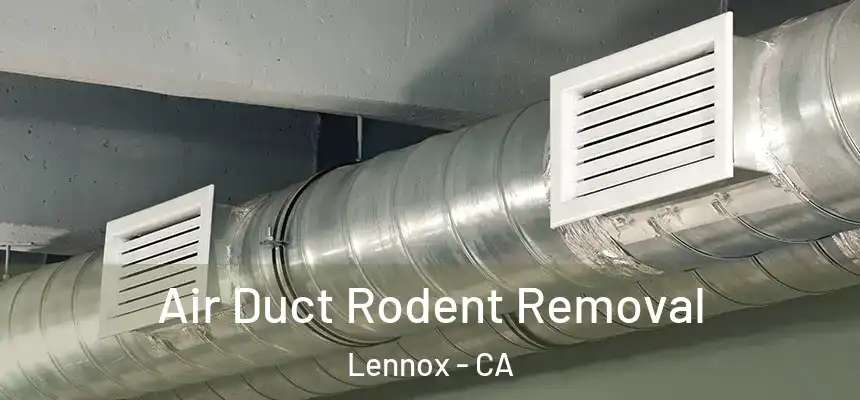 Air Duct Rodent Removal Lennox - CA