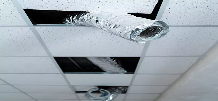 Our Air Duct Pet Hair Removal Services in Lennox, CA