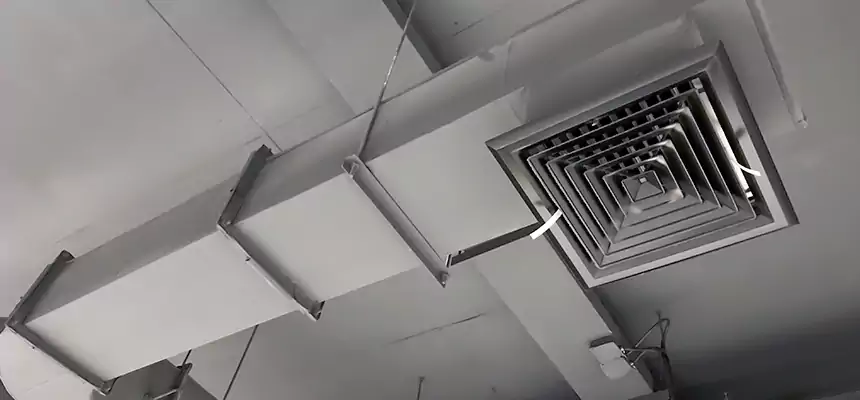 Our Pest Removal From Ducts Services in Lennox, CA