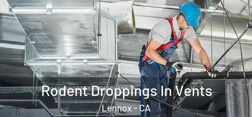 Rodent Droppings In Vents Lennox - CA