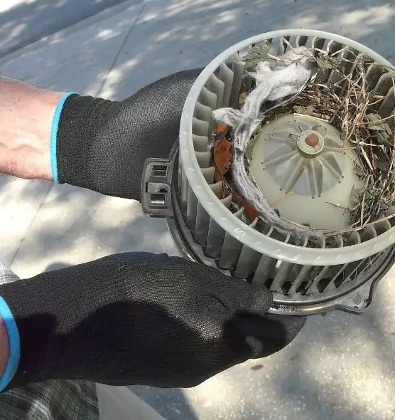 About Air Duct Rat Removal in Lennox, CA