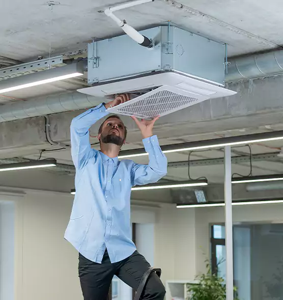 Advanced Rodent Droppings In Vents in Lennox, CA