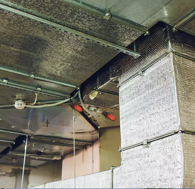 Why Homeowners & Businesses Trust Us in Lennox, CA?