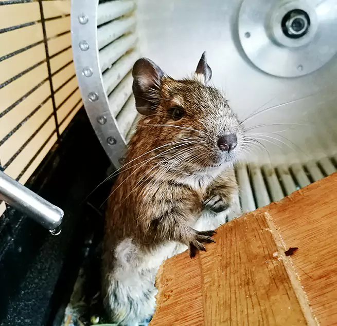 Why Homeowners & Businesses Trust Us Lennox, CA?