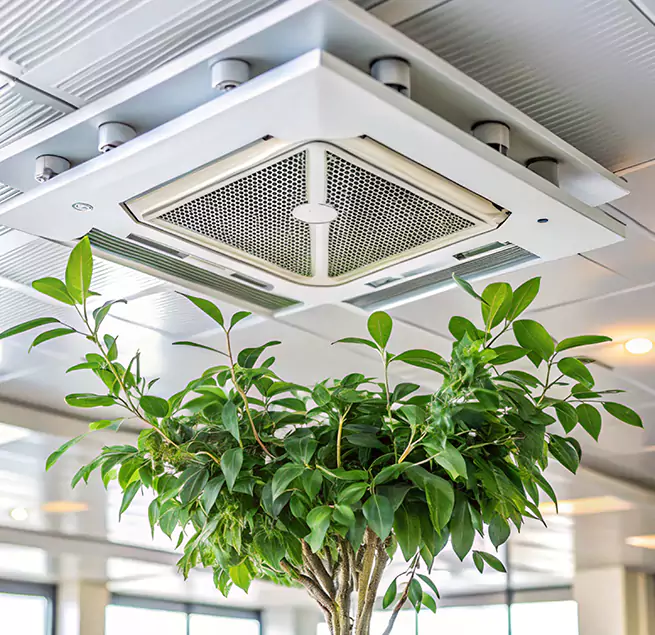 Why Homeowners & Businesses Trust Us in Lennox, CA?