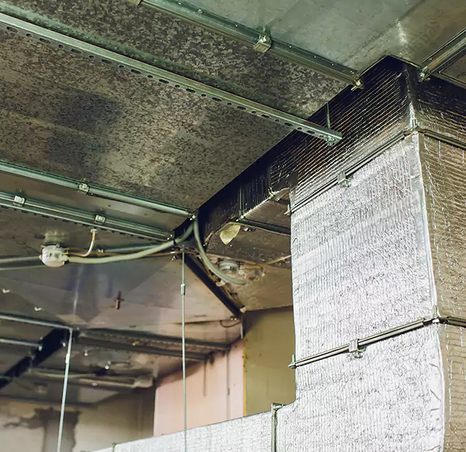 Why Homeowners & Businesses Trust Us in Lennox, CA?